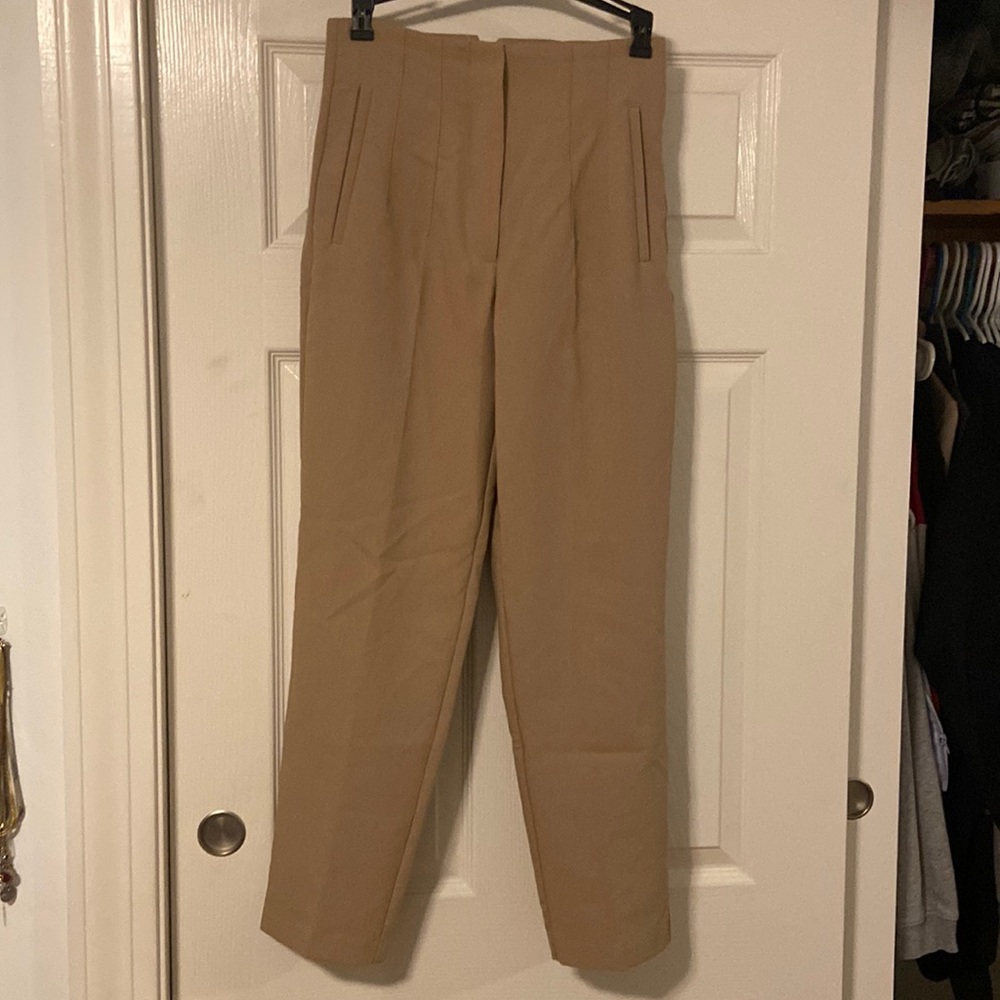 Zara Pleated Trouser Pant